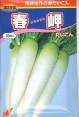画像: 送料無料　[大根]　春岬　1000粒　渡辺農事（株）