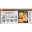 画像2: 送料無料　[瓜類]　マクワ　金太郎　60粒　タキイ種苗(株)　DF (2)