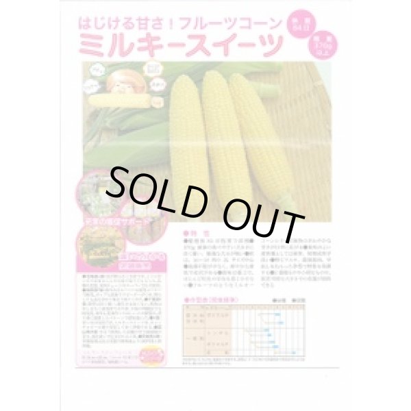 画像2: 送料無料　[とうもろこし]　ミルキースイーツ　200粒　トキタ種苗(株) (2)