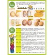 画像3: 野菜種　じゃがいも　シンシア　1ｋｇ (3)