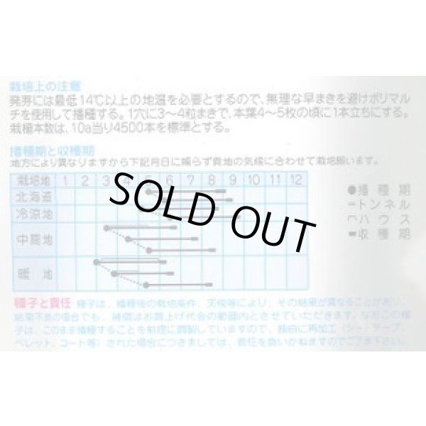 画像2: 送料無料　[とうもろこし]　ワールド21　EX　200粒　(株)タカヤマシード (2)