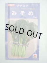 画像: みそめ 20ml タキイ種苗(株)