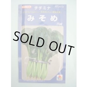 画像: みそめ 20ml タキイ種苗(株)