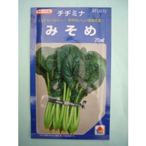画像1: 送料無料　[葉物]　みそめ　20ml　タキイ種苗(株) (1)