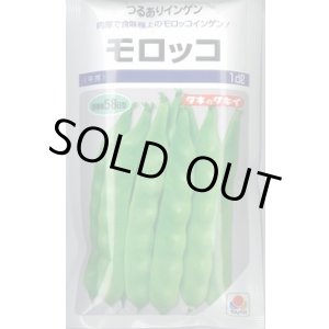 画像: 送料無料　[いんげん]　モロッコ　1dl　タキイ種苗(株)
