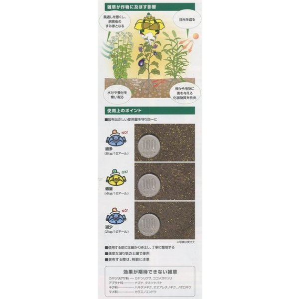 画像6: 農薬　除草剤　トレファノサイド　3kg (6)