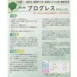 画像2: [シーダー種子]　ほうれんそう　プログレス　1粒×5cm間隔 (2)