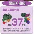 画像5: 農薬　殺線虫剤　ネマトリンエース粒剤　5kg (5)