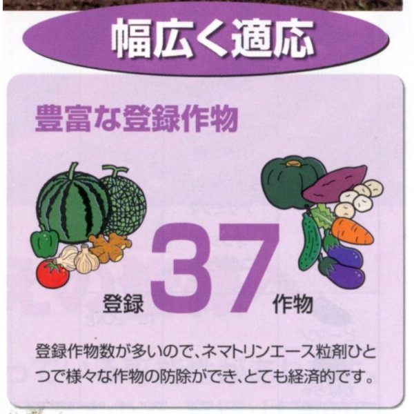 画像5: 農薬　殺線虫剤　ネマトリンエース粒剤　2kg (5)