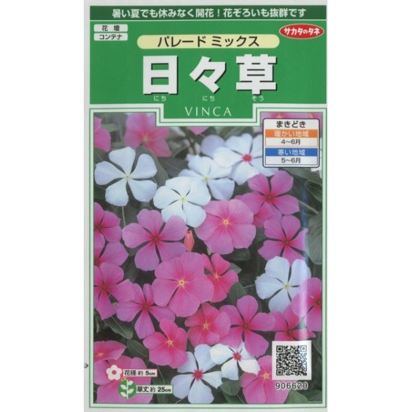 画像1: 花の種　日々草　パレードミックス　約100粒　　サカタのタネ（株）実咲250 (1)