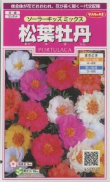 画像: 送料無料　花の種　松葉牡丹　ソーラーキッズ　ミックス　約143粒　(株)サカタのタネ　実咲350（026164）