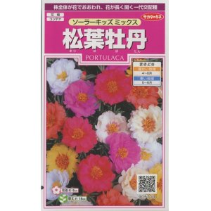 画像: 花の種　松葉牡丹　ソーラーキッズ ミックス　約143粒　サカタのタネ（株）実咲350