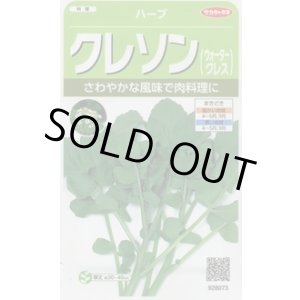 画像: 送料無料　[ハーブの種]　クレソン　約1100粒　(株)サカタのタネ　実咲（003180）