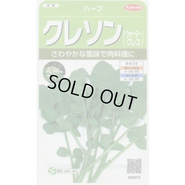 画像1: 送料無料　[ハーブの種]　クレソン　約1100粒　(株)サカタのタネ　実咲（003180） (1)