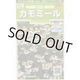 画像: 送料無料　[ハーブの種]　カモミール　約4150粒　(株)サカタのタネ　実咲（003179）