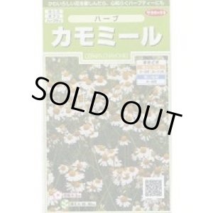 画像: 送料無料　[ハーブの種]　カモミール　約4150粒　(株)サカタのタネ　実咲（003179）