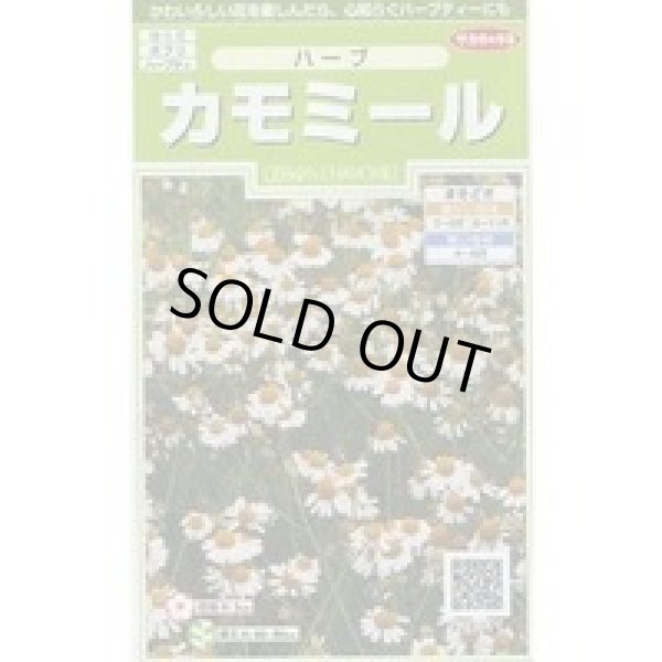 画像1: 送料無料　[ハーブの種]　カモミール　約4150粒　(株)サカタのタネ　実咲（003179） (1)