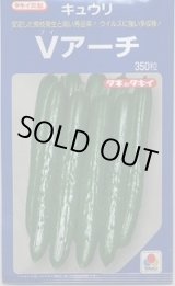 画像: [キュウリ] Ｖアーチ 350粒 タキイ種苗(株)