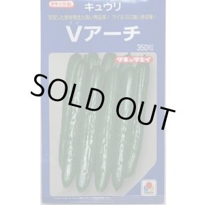 画像: [キュウリ] Ｖアーチ 350粒 タキイ種苗(株)