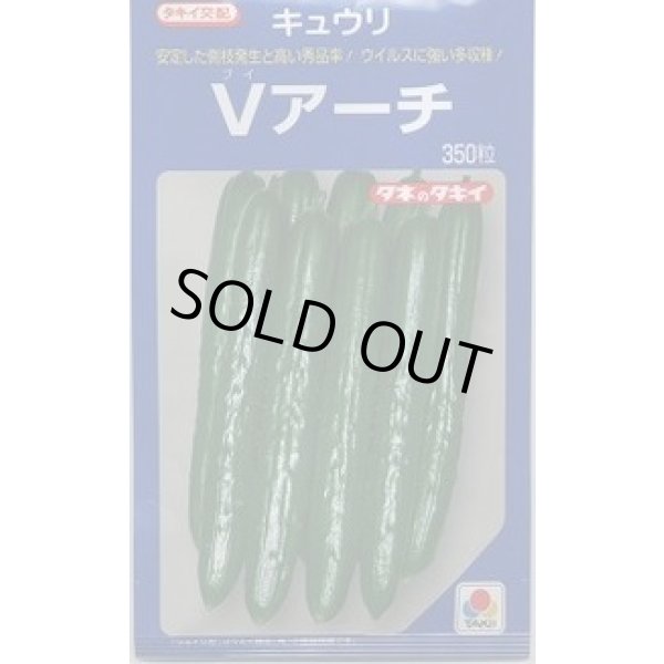 画像1: [キュウリ] Ｖアーチ 350粒 タキイ種苗(株) (1)