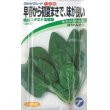 画像1: [ほうれんそう]　晩抽スタミナ　法蓮草　30ｍｌ　（株）タカヤマシード (1)