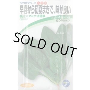 画像: 送料無料　[ほうれんそう]　晩抽スタミナ　法蓮草　30ml　(株)タカヤマシード