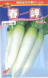 画像: 送料無料　[大根]　春岬　1万粒　渡辺農事（株）