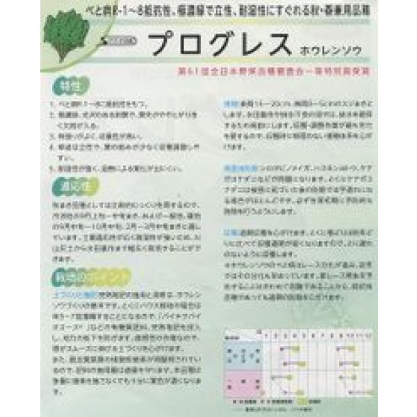 画像3: [ほうれんそう] プログレス 種子サイズ：M 3万粒 （株）サカタのタネ (3)
