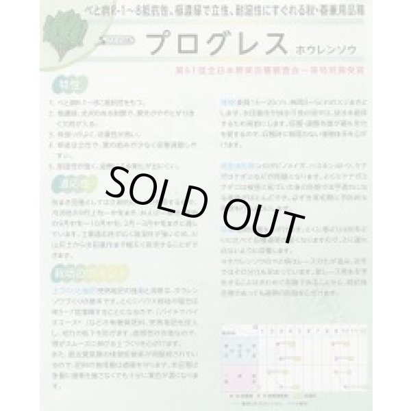 画像3: [ほうれんそう]　プログレス　種子サイズ：L　2万粒　（株）サカタのタネ (3)