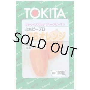 画像: 送料無料　[ピーマン]　ぷちピープロ　オレンジ　100粒　トキタ種苗(株)