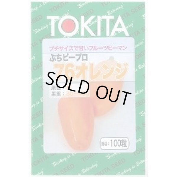 画像1: 送料無料　[ピーマン]　ぷちピープロ　オレンジ　100粒　トキタ種苗(株) (1)