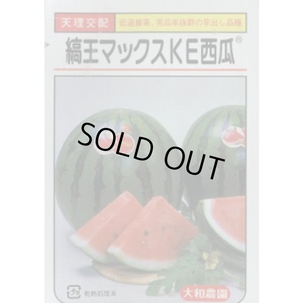 画像1: 送料無料　[スイカ]　大玉スイカ　縞王マックスＫＥ西瓜　7粒　（株）大和農園 (1)
