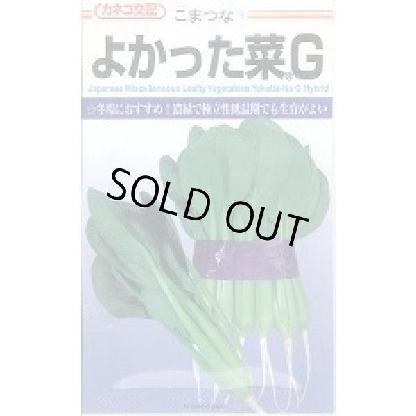 画像1: 送料無料　[小松菜]　よかった菜Ｇ　20ml　カネコ種苗（株） (1)