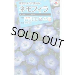 画像: 花の種　ネモフィラ　インシグニスブルー　1ｍｌ　タキイ種苗