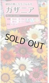 画像: 送料無料　花の種　ガザニア　タレントミックス　小袋　タキイ種苗（株）NL300