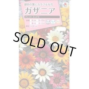 画像: 送料無料　花の種　ガザニア　タレントミックス　小袋　タキイ種苗（株）NL300