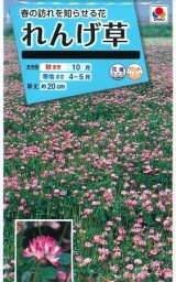 画像: 送料無料　花の種　れんげ草　10ml　タキイ種苗(株)
