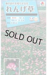 画像: 送料無料　花の種　れんげ草　10ml　タキイ種苗(株)