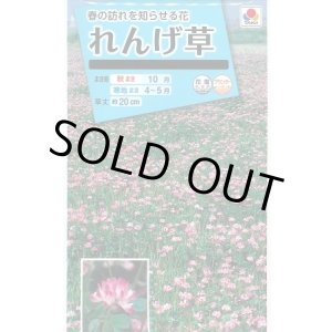 画像: 送料無料　花の種　れんげ草　10ml　タキイ種苗(株)
