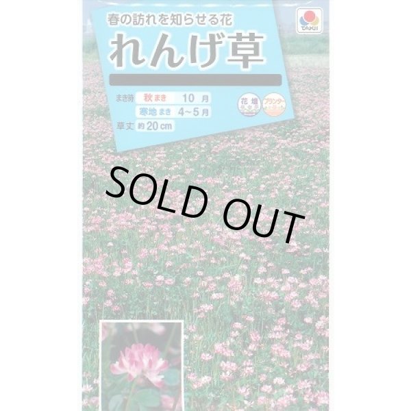 画像1: 送料無料　花の種　れんげ草　10ml　タキイ種苗(株) (1)
