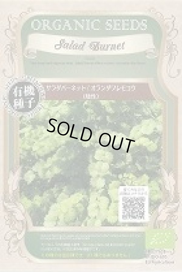 画像1: 有機種子　サラダバーネット　オランダワレモコウ(矮性)　固定種　0.2ｇ(約35粒)　（株）グリーンフィールドプロジェクト (1)