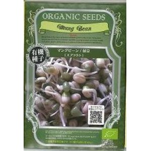 画像: [有機種子]　マングビーン・緑豆　(スプラウト)　　固定種　19ｇ　（株）グリーンフィールドプロジェクト