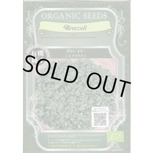 画像: 送料無料　[有機種子]　ブロッコリー　(スプラウト)　固定種　12ｇ　(株)グリーンフィールドプロジェクト