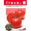 画像2: [トマト/桃太郎系]　送料無料！　CF桃太郎J　1000粒　 (2)