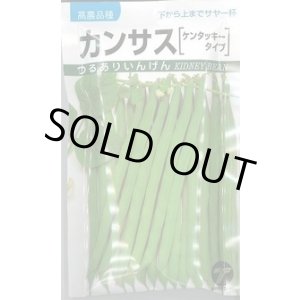 画像: 送料無料　[いんげん]　カンサス　1dl　(株)タカヤマシード