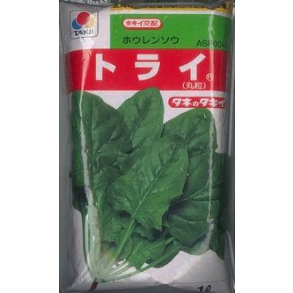 画像1: [ほうれんそう]　トライ　1L　タキイ種苗(株) (1)