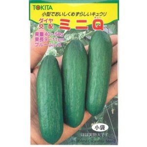 画像: 送料無料　[キュウリ]　ミニQ　10粒　トキタ種苗(株)　トキタ種苗(株)