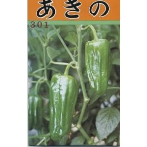 画像: 送料無料　[ピーマン]　あきの　1000粒