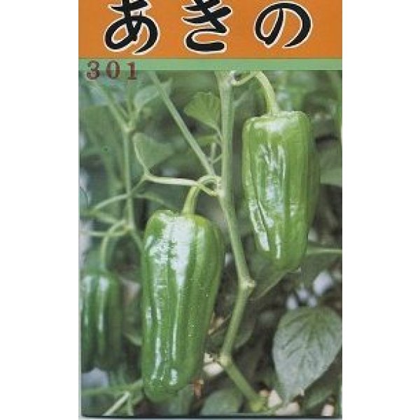画像1: 送料無料　[ピーマン]　あきの　1000粒 (1)