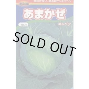 画像: 送料無料　[キャベツ]　あまかぜ　1ml　渡辺交配